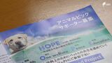 「浜松市は犬の飼育率が日本一」ペットとアウトドア楽しむ「アニマルピックフェスタ」PR=浜松市 | 静岡のニュース | SBSNEWS | 静岡放送