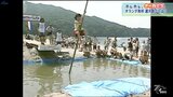 オランダとの絆がある岩手・山田町で珍しい「運河跳び」大会~2000年7月のニュースから【ホレホレアーカイブ】 | IBC NEWS | IBC岩手放送