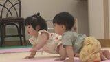 声援や歓声、時に泣き声「赤ちゃんハイハイレース」子育て世代の交流を　|　BSSニュース | BSS山陰放送