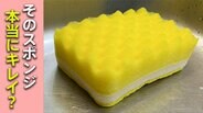 台所のスポンジ…その管理で大丈夫？ 漂白剤や天日干しの効果は？　そもそもの「予洗い」もポイントだった　大掃除の前にやるべきこと|TBS NEWS DIG