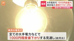 来月使用分の電気代 1000円程度値下がりへ　政府補助金再開で| TBS CROSS DIG with Bloomberg