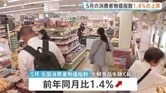 5月の全国消費者物価指数1.4％の上昇　4か月連続の1％台　コメは3年半ぶりのマイナスに| TBS CROSS DIG with Bloomberg