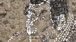 河川敷に「写楽」「ムンク」現る　72歳画家はなぜ「石を並べて描く」のか　きっかけとなった妻の一言【岡山】|TBS NEWS DIG