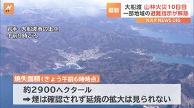 岩手・大船渡市の山火事　一部地域の避難指示は解除　対象住民からは安堵の声|TBS NEWS DIG