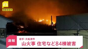 【速報】岩手・大船渡市の山火事　住宅など84棟被害|TBS NEWS DIG