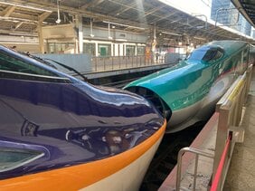 【速報】東北新幹線・山形新幹線　運転再開　倒木撤去完了を受けてJRが発表|TBS NEWS DIG