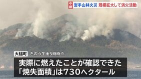 岩手・大槌町の山林火災 4日目も延焼続く　規模拡大して消火活動　避難指示エリア拡大で対象は1541世帯3233人に|TBS NEWS DIG