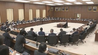 衆議院・憲法審査会　大規模災害発生などの「緊急事態条項」めぐり集中討議| TBS CROSS DIG with Bloomberg