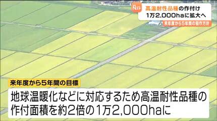 5年間の稲作方針決まる 地球温暖化に対応「高温耐性品種」を1万2000ha