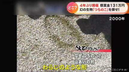 幻の生物「つちのこ」を見つけたら131万円！4年ぶりにガチンコ捜索