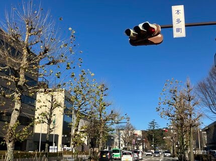 消えゆく石川の縦型信号機…わずか1.3％の「激レア」 3年後には絶滅