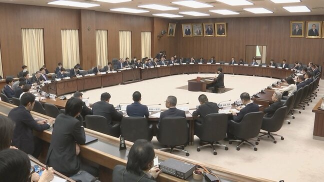 衆議院・憲法審査会　大規模災害発生などの「緊急事態条項」めぐり集中討議|TBS NEWS DIG