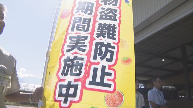 シャインマスカットなど高級ブドウの出荷シーズンを迎え…盗難対策を強化　防犯カメラの設置やパトロールも　長野・松本市山辺地区|TBS NEWS DIG