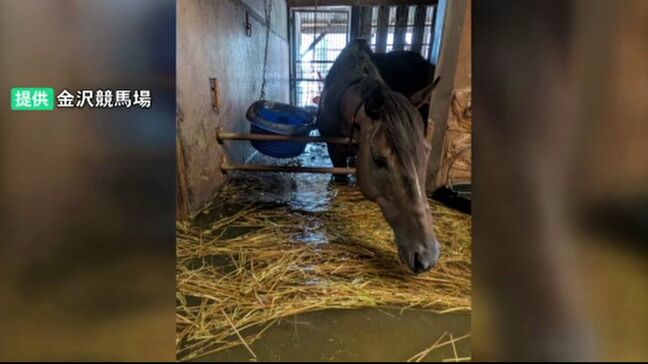 調教師らからは「600頭全てを避難させる場所は確保できない」などの指摘も 大雨で浸水被害の金沢競馬場 競走馬をいち早く避難させる方策などを石川県が年内に取りまとめへ|TBS NEWS DIG