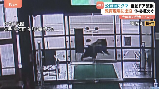 クマによる死者は過去最多の12人　きょうも各地でクマの出没相次ぐ|TBS NEWS DIG