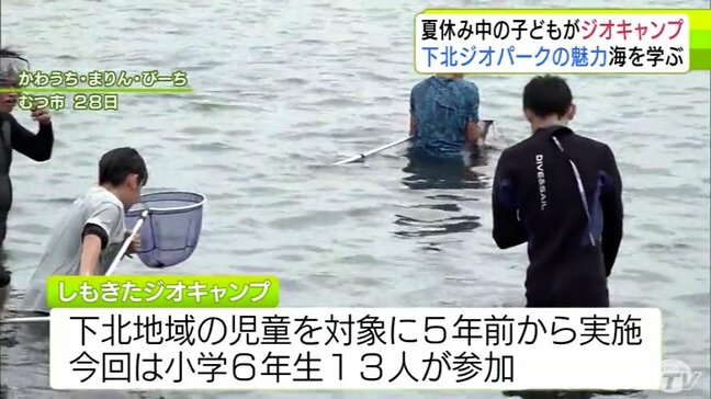 下北ジオパークの魅力の1つ「海」を学ぼう！　夏休み中の子どもたちがジオキャンプ　地元の海の豊かさや生き物について理解深める　青森県|TBS NEWS DIG