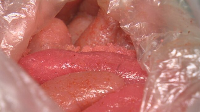 明太子とたらこは物価の優等生？　スケソウダラ漁獲量が安定だけではない理由　一方で「4月ぐらいから値上げする可能性が」|TBS NEWS DIG