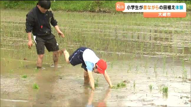 「冷たくてぐちゃぐちゃ」8人の全校児童で小学校統合前最後の田植え体験　宮城・大崎市|TBS NEWS DIG