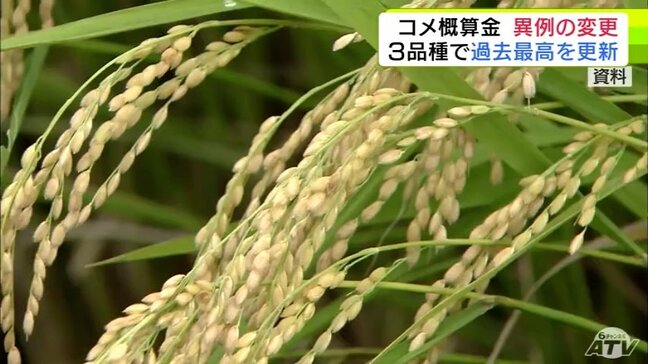 【詳報】“異例の変更”コメの「生産者概算金」JA全農あおもりが目安額の変更を発表　「はれわたり」「まっしぐら」3万円　「青天の霹靂」は生産者手取り額が3万4000円程度の見込み　3品種で過去最高更新|TBS NEWS DIG
