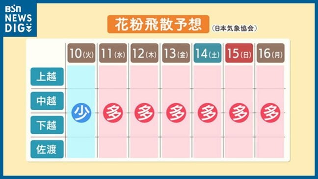 10日は各地で「雪」11日以降は“花粉の飛散量”が「多い」見込み　新潟県内|TBS NEWS DIG