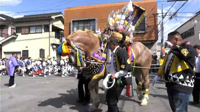 華やか湯之元馬頭観音馬踊り　鹿児島|TBS NEWS DIG