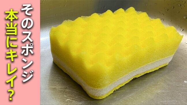 台所のスポンジ…その管理で大丈夫？ 漂白剤や天日干しの効果は？　そもそもの「予洗い」もポイントだった　大掃除の前にやるべきこと|TBS NEWS DIG