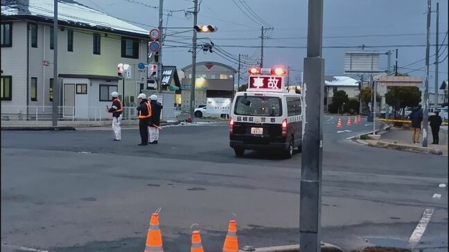 横断歩道で小学生をはね死亡させた元トラック運転手の男に拘禁刑1年6か月の実刑判決　「運転中短気になる」「あおり運転の通報」の証言、助手席側窓ガラス・安全窓に「黒色のフィルム」も　控訴について弁護側は「ノーコメント」|TBS NEWS DIG