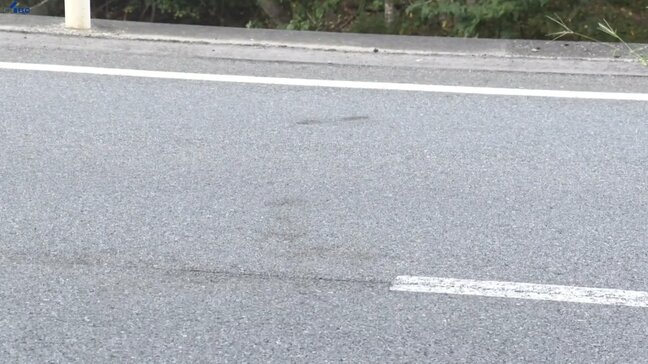 死んでいると思い道路からクマを動かそうとしたところ、右腕と左足をかまれる　岩手・宮古市|TBS NEWS DIG