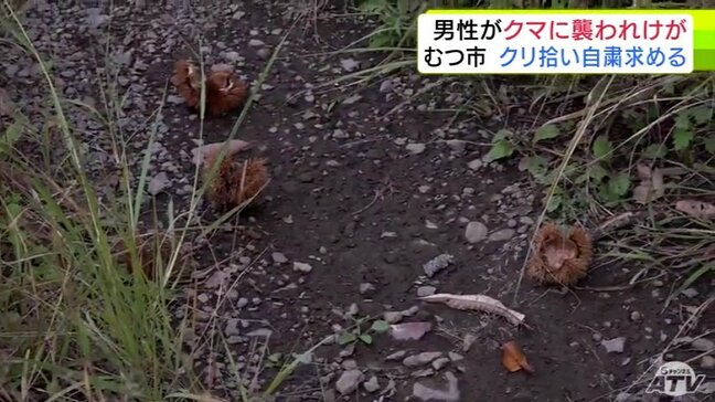 「クマだらけだ…」またもクリ拾い中の人的被害 80代の男性がクマに襲われて顔からは多量の出血 むつ市・山本知也 市長はクリ拾いの自粛を市民に求める「命と安全を最優先に」 青森県|TBS NEWS DIG