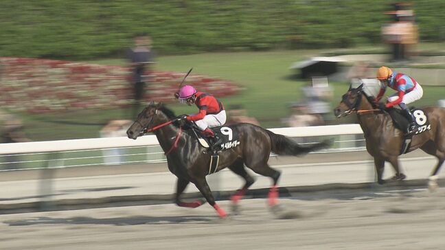 夏の福島競馬 白熱のメインレース TUF杯|TBS NEWS DIG