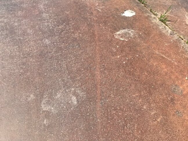 町の中心部でクマに追いかけられる 中学2年生の男子生徒が逃げ切りケガなし 現場近くには足あと(山形・河北町) |TBS NEWS DIG