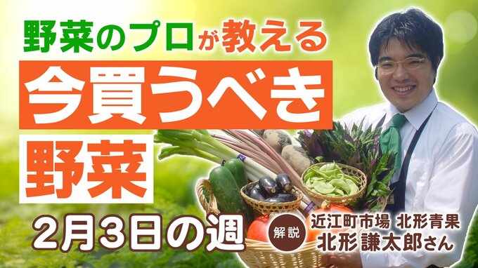 【今買うべき野菜は？】2/3の週 トマト・ナスなど果菜類は比較的安価 キャベツ・白菜は高値が続く　|　石川県のニュース｜MRO北陸放送