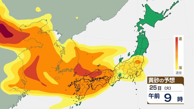 特に25日朝から昼頃は濃度が「濃」　25日から26日にかけ「黄砂」に注意　気象庁が「黄砂に関する全般気象情報」発表　アレルギー症状の悪化や呼吸器官などへの健康被害にも注意|TBS NEWS DIG