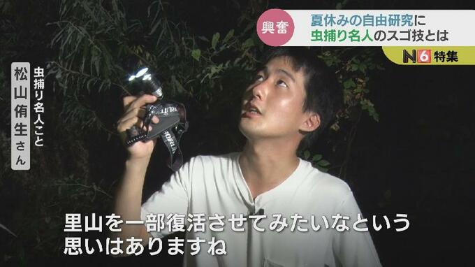 「里山を復活させたい！」自宅はまるで“世界の昆虫図鑑”　虫捕り名人に密着してみた…|TBS NEWS DIG