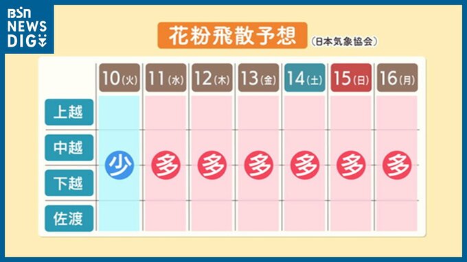 10日は各地で「雪」11日以降は“花粉の飛散量”が「多い」見込み　新潟県内　|　新潟のニュース・天気｜BSN NEWS｜BSN新潟放送