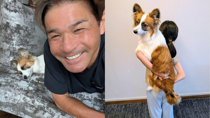 【 いぬ 】照英の愛犬パピコ（8か月）を愛娘9歳がおんぶ　〝成長が早いね～〟フォロワービックリ「大きくなりましたね～」|TBS NEWS DIG