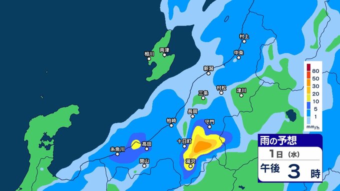 【大雨情報】新潟県内はきょう1日は“バケツをひっくり返したような”激しい雷雨が降り大雨の所も　夜遅くにかけて土砂災害などに注意・警戒【1時間ごとの雨のシミュレーション・1日正午更新】　|　新潟のニュース・天気｜BSN NEWS｜BSN新潟放送