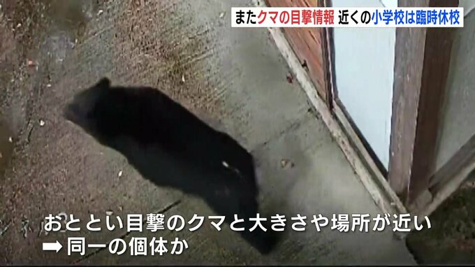 またクマの目撃情報　２日前は市街地でも相次ぐ　近くの小学校は臨時休校　広島･廿日市市|TBS NEWS DIG