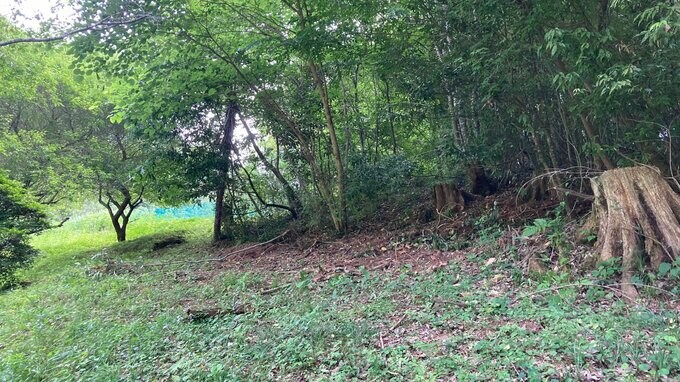 イノシシに襲われたか　ワナの様子を見に行った男性（80代）死亡　広島　|　RCC NEWS | 広島ニュース | RCC中国放送