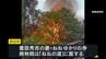 【火事】秀吉の妻「ねね」ゆかりの高台寺で　塔頭寺院『岡林院』の接待所が全焼　けが人なし　京都・東山区　|　MBSニュース | 関西の最新ニュースを分かりやすく。