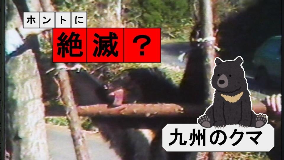 本当に絶滅？九州のツキノワグマ（1987年）【TBSアーカイブ秘録