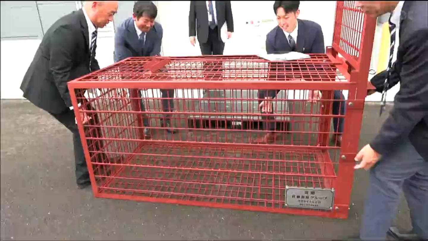 6.宮城県亘理郡亘理町出土　刺突具2点 宮城・亘理町で「クマ兼イノシシ用箱罠」の贈呈式 「町民の安全に貢献