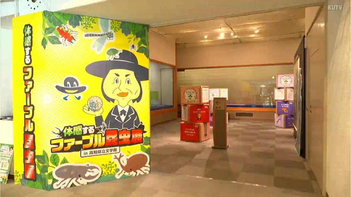 「虫の奥深い世界を知ってもらいたい」高知県立文学館で「ファーブル昆虫展」開催　ファーブルの遺品や昆虫標本などずらり