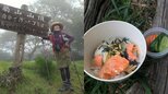 【 磯野貴理子 】「夏の山ごはん」山頂で「冷やし茶漬けと自家製ぬか漬け」　フォロワー羨望「山の方が涼しそう」「行動的ですごい」|TBS NEWS DIG