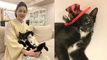 【 ねこ 】藤あや子さんの愛猫・マル「ハロウィンといえばボク」 黒が似合う帽子でコスプレ フォロワー反応「ジュリーみたい」|TBS NEWS DIG