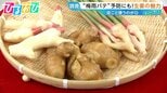 「生」と「加熱後」で効果に違いが!?夏こそ食べたい『生姜』の魅力【ひるおび】|TBS NEWS DIG