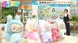 世界が熱狂!『ラブブ』日本でもじわじわ浸透中 大ヒットのワケは?【ひるおび】|TBS NEWS DIG