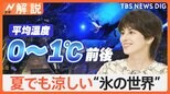夏でも涼しい!“ひんやりスポット” 鍾乳洞・巨大地下空間・ビール工場など穴場を紹介!【Nスタ解説】|TBS NEWS DIG