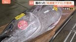 シーズンは6月なのに…佐渡産マグロがいま豊漁!脂がのって、春らしい香りも…関東で安く食べることはできるの??|TBS NEWS DIG