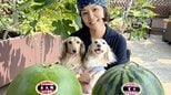 【 石原詢子 】杉良太郎さんの『良太郎スイカ』と『夏子スイカ』を堪能　杉家の愛犬たちにもメロメロ|TBS NEWS DIG